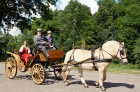 Château de la ville Zaltbommel